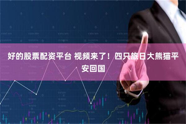 好的股票配资平台 视频来了！四只旅日大熊猫平安回国