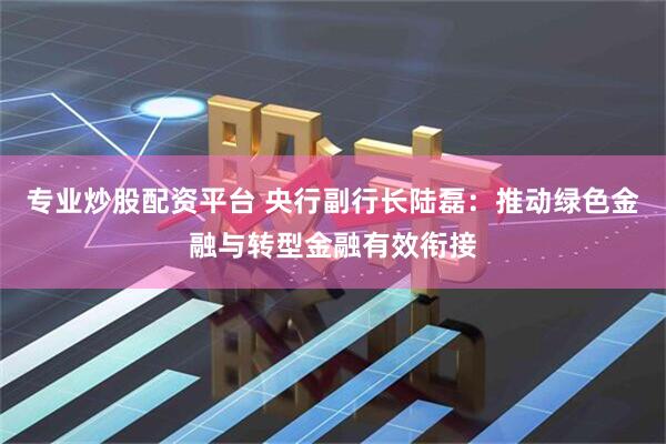 专业炒股配资平台 央行副行长陆磊：推动绿色金融与转型金融有效衔接