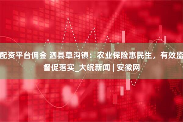 配资平台佣金 泗县草沟镇：农业保险惠民生，有效监督促落实_大皖新闻 | 安徽网