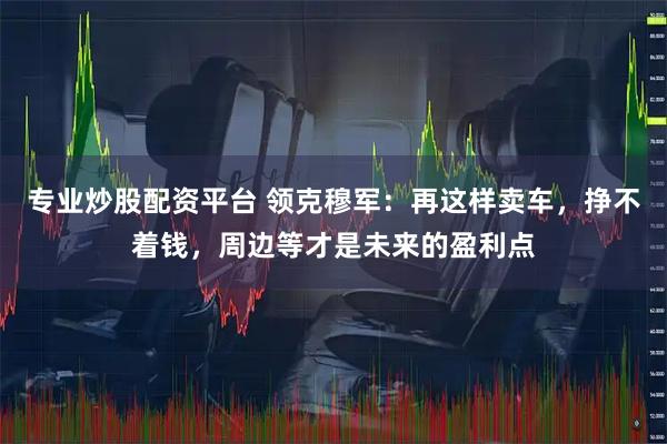 专业炒股配资平台 领克穆军：再这样卖车，挣不着钱，周边等才是未来的盈利点